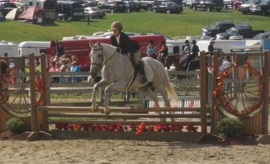 Equitation