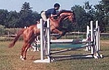 Jumpers